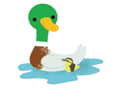 Ducks! animals children childrens childrens illustrations cute design illustration picturebook vector