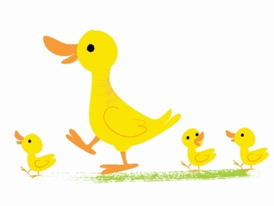 Ducks! animals children childrens childrens illustrations cute illustration picturebook vector