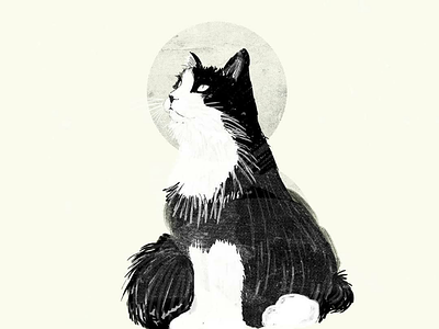 My cat: Ozzy cat editorial illustration illustrations illustrator kitten