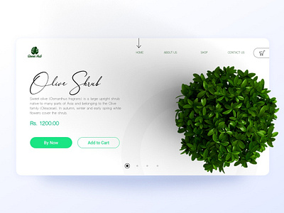 Green HUB - Plant selling website ui ui ux ui design uidesign user experience user interface userinterface ux ux ui uxdesign uxui web web design webdesign website