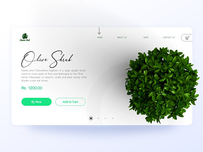 Green HUB - Plant selling website