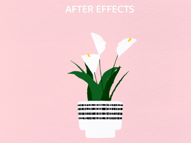 3D Pot illustration gif loop motion design motion cinema 4d 2d animation after effects
