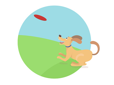 Fetch dog fetch illustration storyboarding visual storytelling