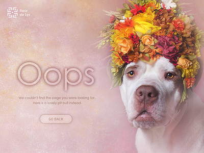 404 Page 404 animal cute daily dog error oops page photography trend typography ui