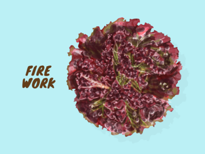 Fire Work artwork illustration vector