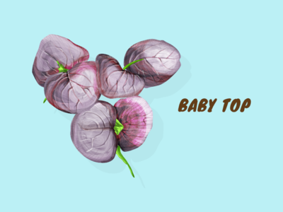 Baby Top artwork illustration vector
