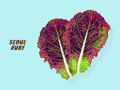Seoul Ruby artwork illustration vector vegetable veggies
