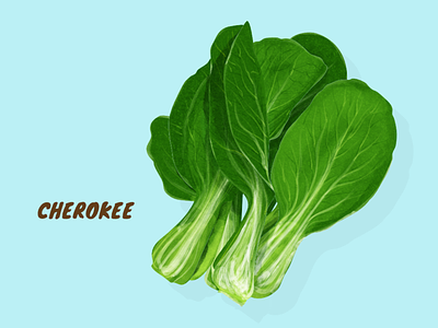 Cherokee artwork illustration vector vegetable veggies