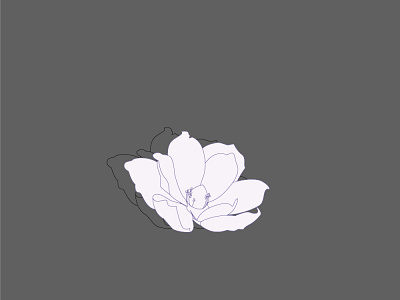 flower illustration adobe illustrator branding flower flower illustration gray illustration illustrator logo magnolia vector
