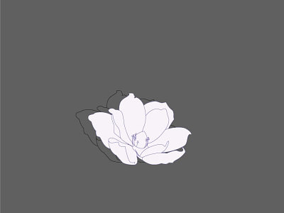 flower illustration