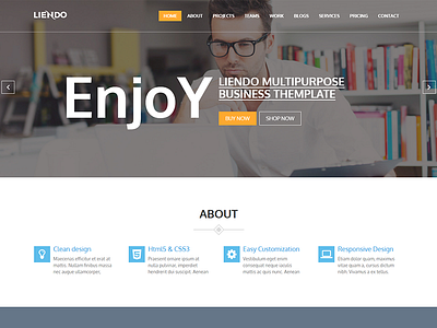 Liendo – Multipurpose Landing Page Template agency bootstrap business company designer developer freelancer