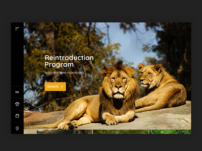 Lion's Reintroduction Center Website exploration lion reintroduction program webdesign weeklywarmup