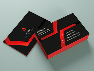 Aycanlar Business Card Design business card business card design business card mockup corpate identity
