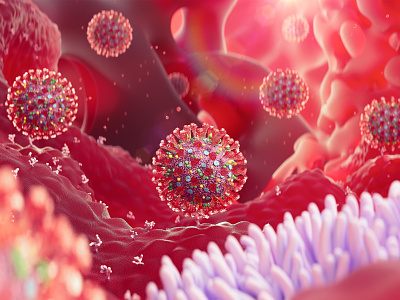 Coronavirus invade human cells