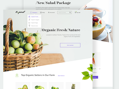 An online grocery shopping idea practice