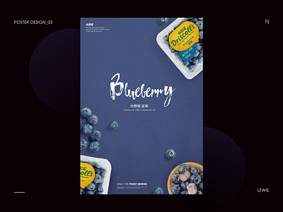 Poster Design . blueberry