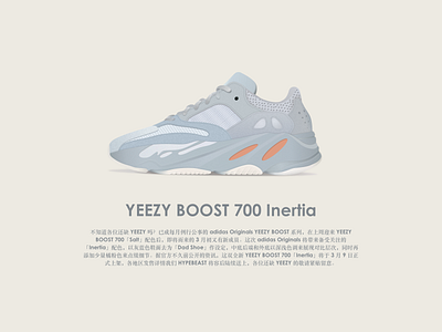 Yeezy Boost 700 插图