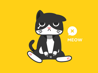 Meow2 cat