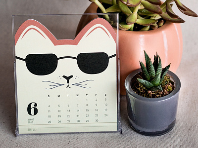Cat of the Month Calendar: June 2017 calendar cat desktop dieline june kitty packaging product