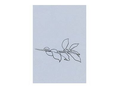 Study 65 💎 blue drawing line drawing nature organic original plant sketch sketchbook