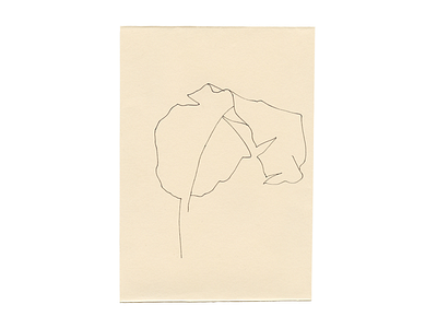 Study 6 / ‘I remember quiet evenings, trembling close to you' drawing icon illustration leaf line line drawing natural nature plant quick sketch sketch white space