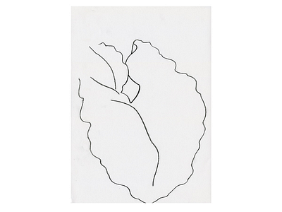 Study 6 charcoal drawing illustration layout leaf line line drawing nature organic white space