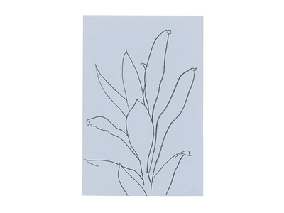 'I've sat and I've watched an ice age thaw' blue davidcallow drawing leaf leaves line organic plant