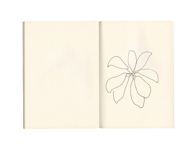 I think of you in motion davidcallow drawing leaves nature pen plant sketch sketchbook whitespace