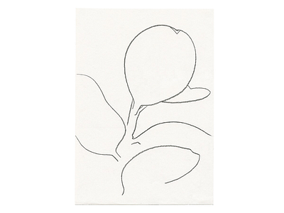 It's time that you love art charcoal davidcallow line line drawing nature original plant