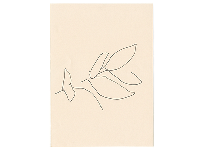 Lord, I have no courage davidcallow drawing leaf leaves line minimal pen plant