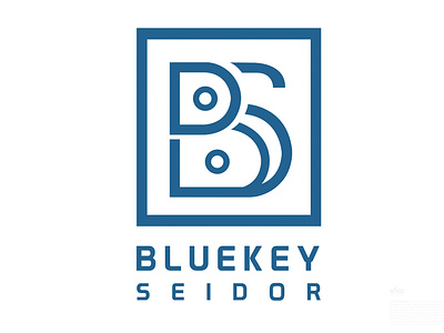 Day 3 Bluekey Seidor logo logo design logo design concept