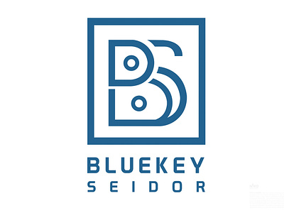 Day 3  Bluekey Seidor