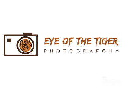 Day 8  Eye Of The Tiger