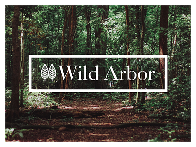 Wild about this Brand brand design identity logo serif font serif logo