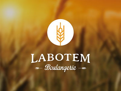 Labotem Branding brand branding font logo photo