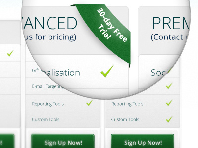 Pricing Feature feature green pricing tick ui