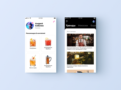 INSHAKER — Cocktail Recipes and Photos ios app