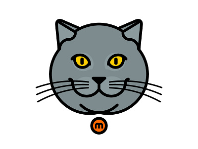 Massimo the cat blue british british shorthair cat chunky eyes feline grey massimo meow my cat yellow