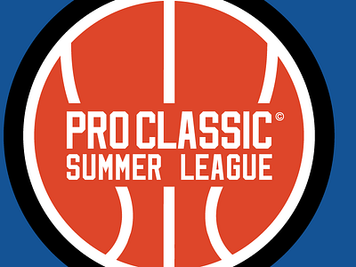 the pro classic identity design id identity logo