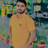 Mudassar Ali
