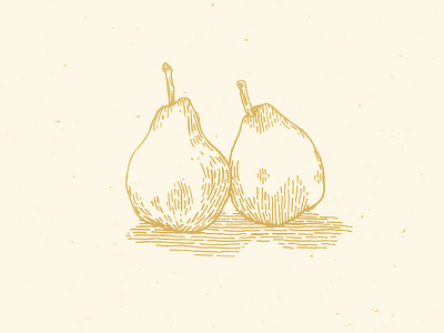 pair-o-pears illustration pears sketch
