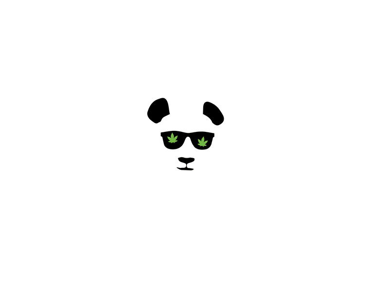 Phat Panda Bumper