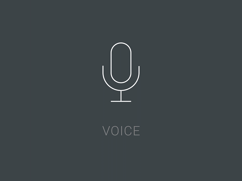 Voice Icon Animation