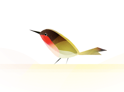 Little bird bird branding design editorial illustration kyle brushes little minimal procreate small texture