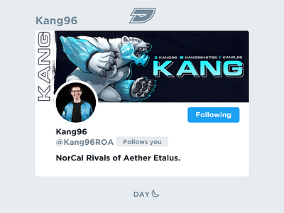 Kang | Social Media Layout aether bear esports etulas fgc fighting game gaming graphic header ice layout polar rivals roa socialmedia twitch twitter