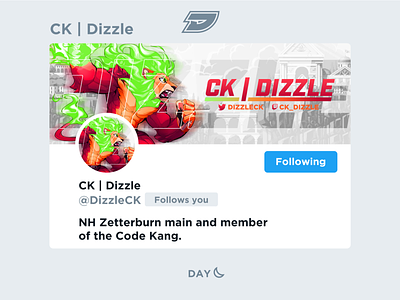 Dizzle | Social Media Layout aether design esports fgc fighting game gaming graphic header layout lion platform rivals roa ssb stream twitch twitter zetterburn