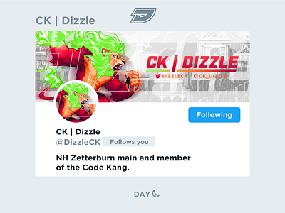 Dizzle | Social Media Layout