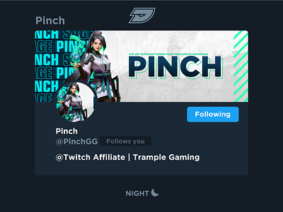 Pinch | Social Media Layout design esports game gaming graphic header healer layout live mixer sage shooter stream twitch twitter valorant youtube