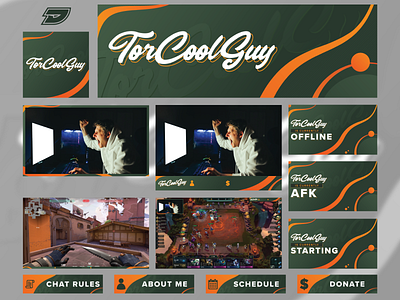 TorCoolGuy | Twitch Branding brand branding design esports facecam game gaming graphic header layout live panel screen stream tft twitch valorant youtube