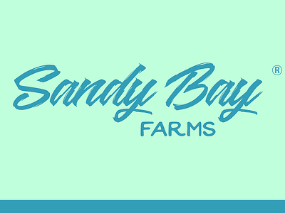 Sandy Bay Farms branding clean design flat identity illustration logo minimal typography vector